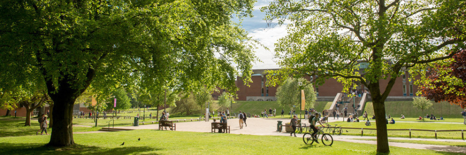 University of Sussex – Library Lookout